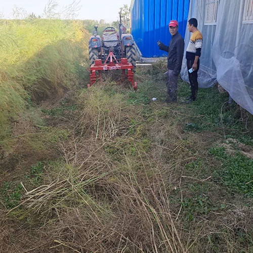 蘆筍割殃機(jī) 割蘆筍殃機(jī)廠(chǎng)家批發(fā)