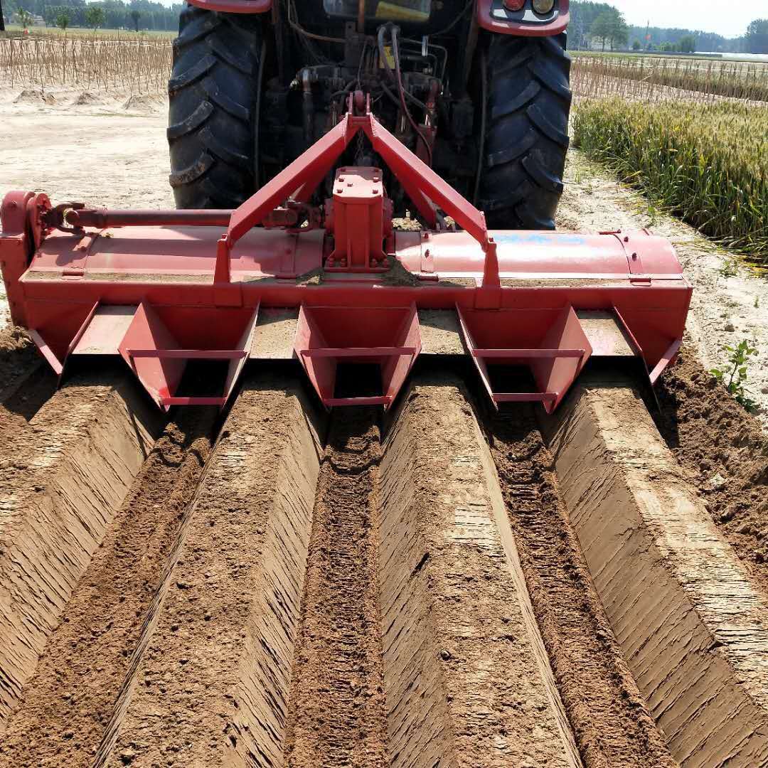 <a href=http://m.shopnikon.cn/ target='_blank'>開溝機(jī)</a>